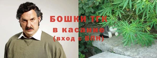 бошки Горнозаводск