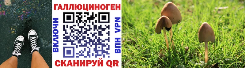 Купить закладки  Калачинск  Галлюциногенные грибы ЛСД 